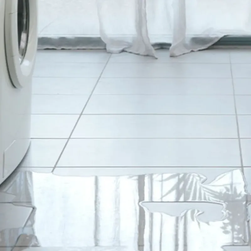 Appliance Leak Cleanup in Springville, NY