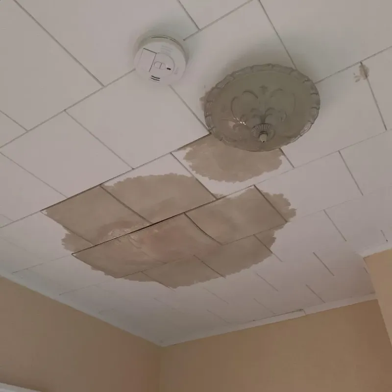 Ceiling Water Damage Repair in Springville, NY
