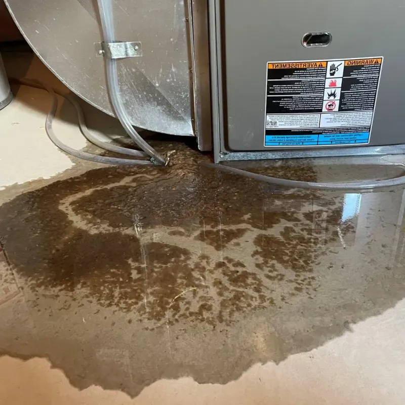 Pipe Burst and Leak Restoration in Springville, NY