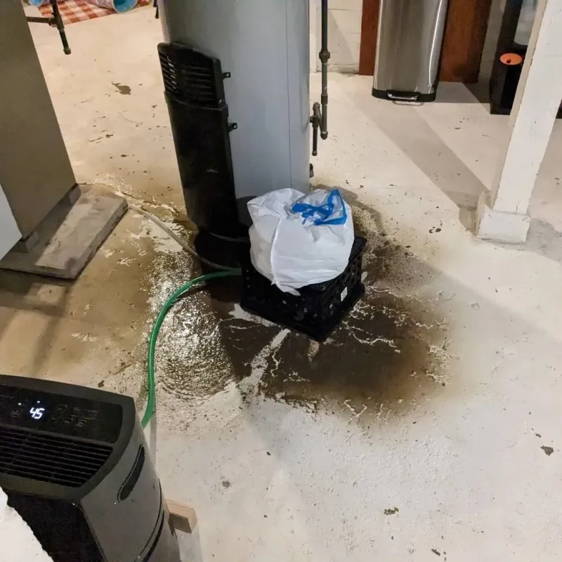 Sewage Backup Cleanup Service in Springville, NY